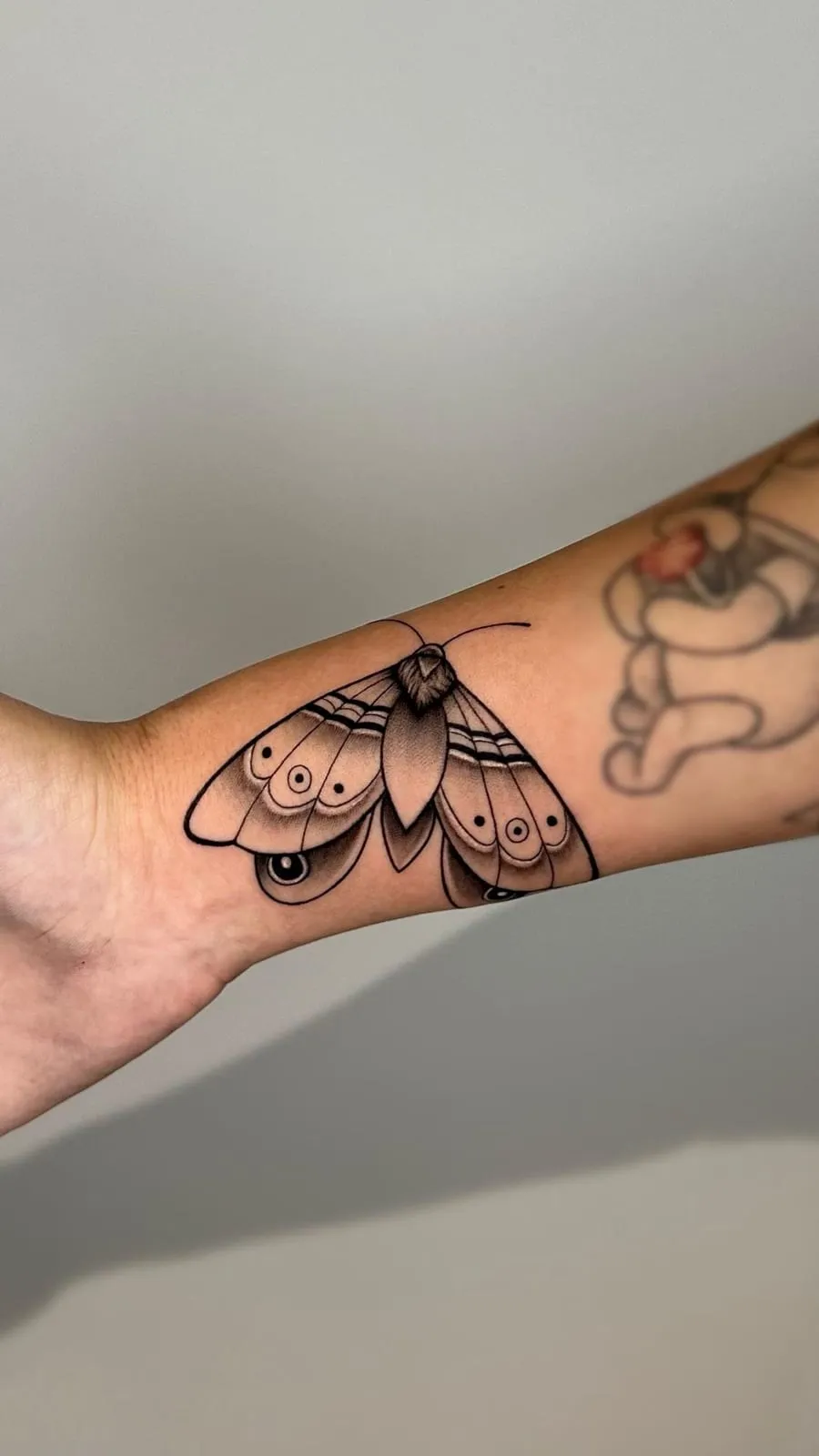 Fine-line moth with shaded wings and eye spots, on the wrist.
